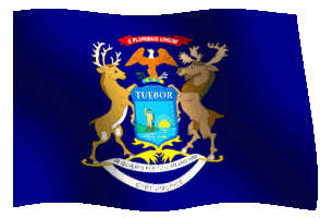michigan flag